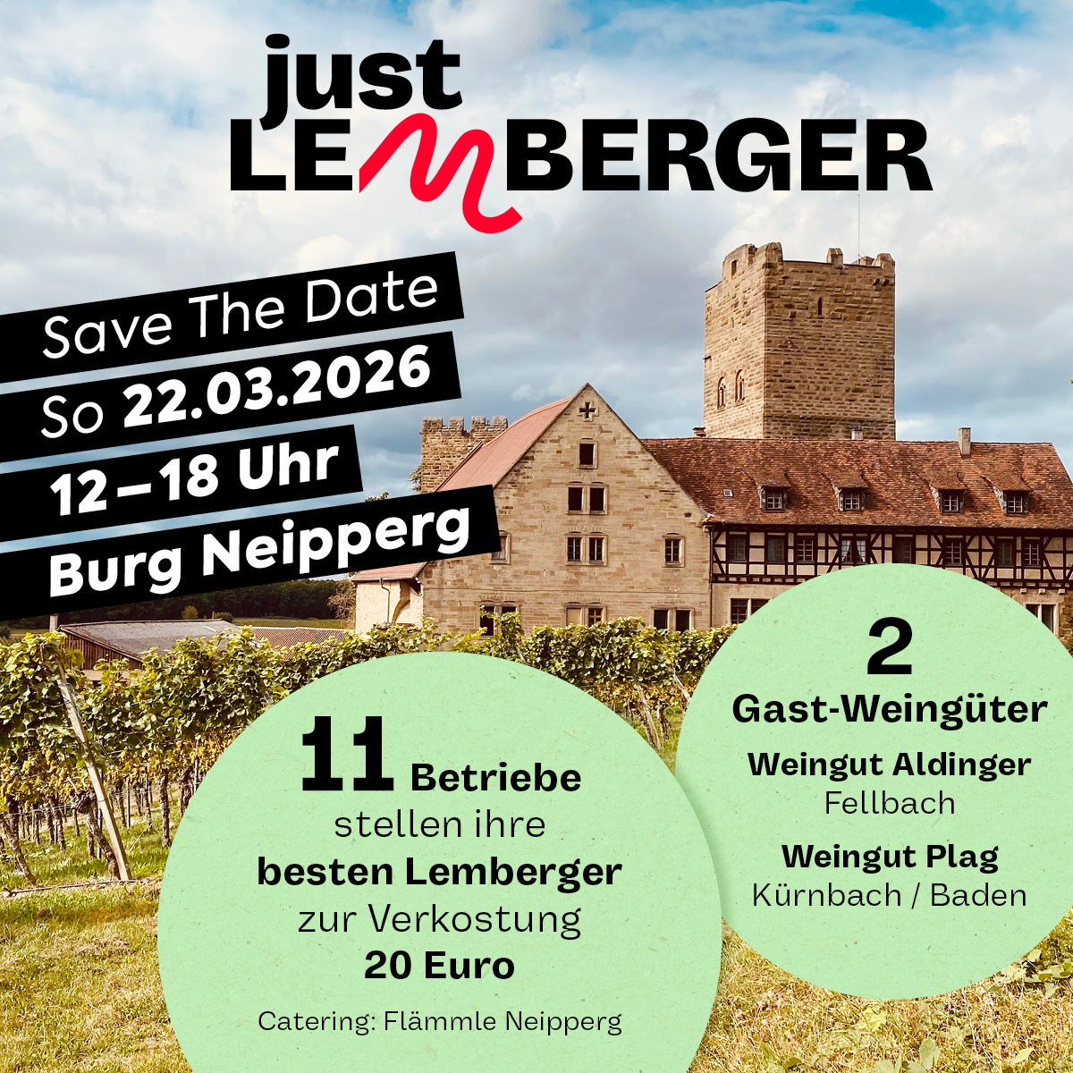 Bild kann nicht geladen werden.